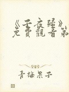 《子夜归》全集免费观看第34集