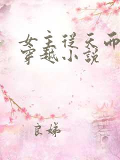 女主从天而降的穿越小说