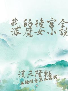 我的后宫全是反派魔女小说