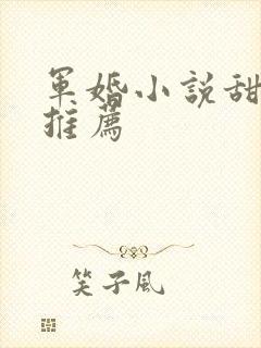 军婚小说甜宠文推荐