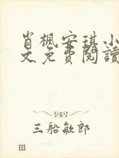 肖枫安琪小说全文免费阅读