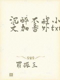 沉醉不醒小说全文加番外txt