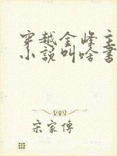 穿越金峰主角的小说叫啥书名