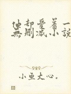 他却爱着一个他无删减小说