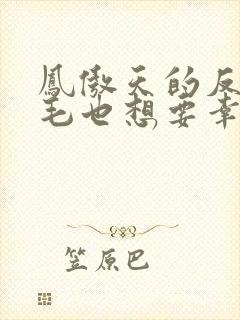 凤傲天的反派黄毛也想要幸福漫画