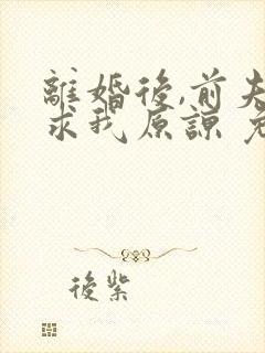 离婚后,前夫跪求我原谅 免费阅读