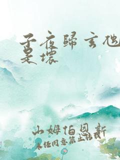 子夜归玄虺是好是坏