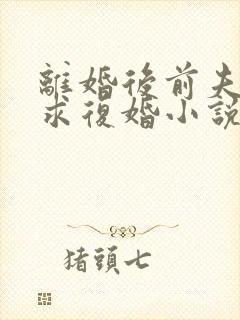 离婚后前夫哭着求复婚小说在线阅读免费