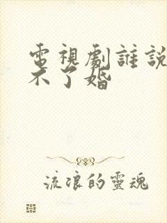 电视剧谁说我结不了婚