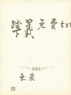 踏星免费txt下载
