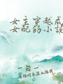 女主穿越成恶毒女配的小说