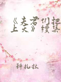 《夫君们把我宠上天》续集