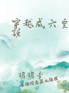 穿越成六皇子小说