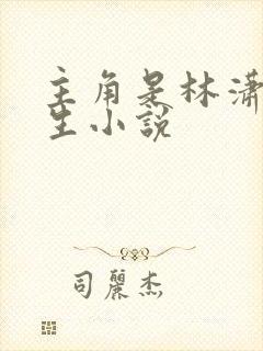 主角是林潇的重生小说