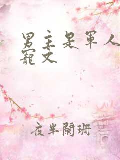 男主是军人的甜宠文