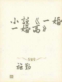 小说《一婚还比一婚高》