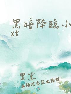 黑暗降临小说txt