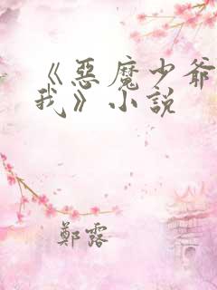 《恶魔少爷别惹我》小说