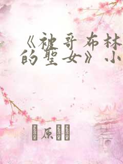 《被哥布林俘虏的圣女》小说