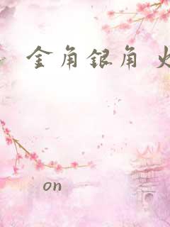 金角银角 火影