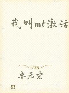 我叫mt激活码