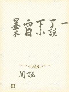 暴雨下了一年的末日小说