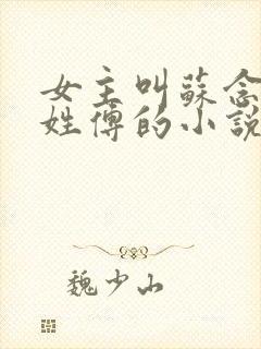 女主叫苏念男主姓傅的小说