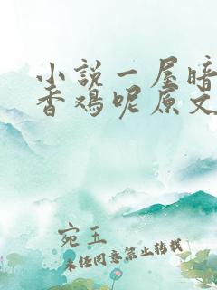 小说一屋暗灯麦香鸡呢原文免费阅读