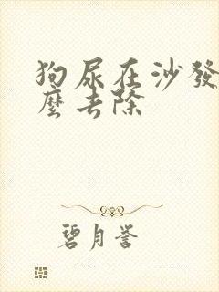 狗尿在沙发上怎么去除