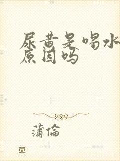 尿黄是喝水少的原因吗