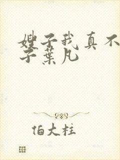 嫂子我真不是傻子叶凡