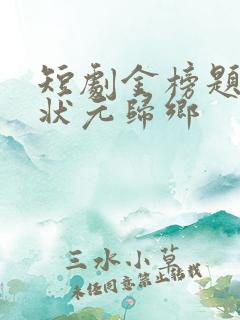 短剧金榜题名之状元归乡