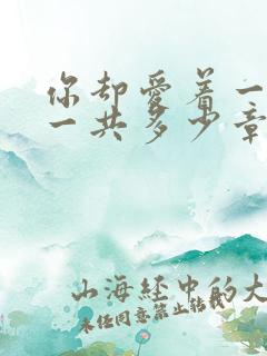 你却爱着一个他一共多少章