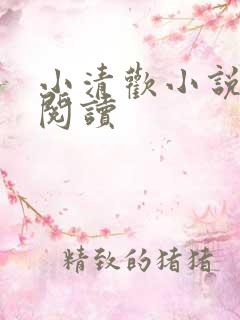 小清欢小说在线阅读