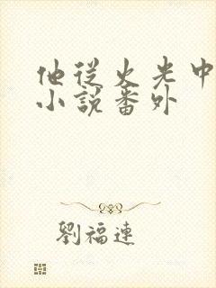 他从火光中走来小说番外