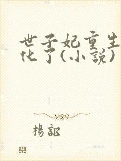 世子妃重生后黑化了(小说)