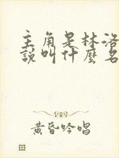 主角是林洛的小说叫什么名字