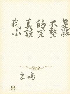 我真的不是反派小说完整版本