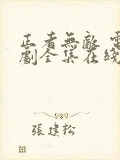 正者无敌 电视剧全集在线看