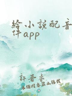给小说配音的软件app