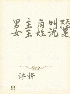 男主角叫陆霆琛女主姓沈是重生的