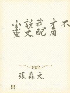 小说我才不是精灵文配角