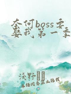 奈何boss要娶我第一季高清免费全集在线观看