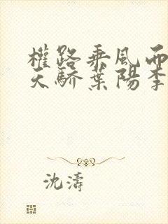 权路乘风而起化天骄叶阳李薇薇