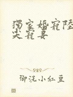 独家婚宠陆少心尖宠妻