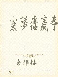 小说虐完夫人后叶少他疯了