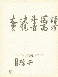 大决斗国语版免费观看高清