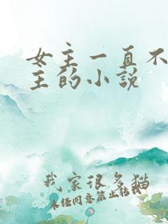 女主一直不爱男主的小说