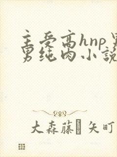 主受高hnp男男纯肉小说