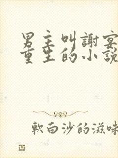 男主叫谢宴女主重生的小说